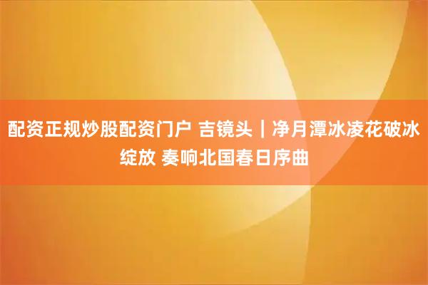配资正规炒股配资门户 吉镜头｜净月潭冰凌花破冰绽放 奏响北国春日序曲